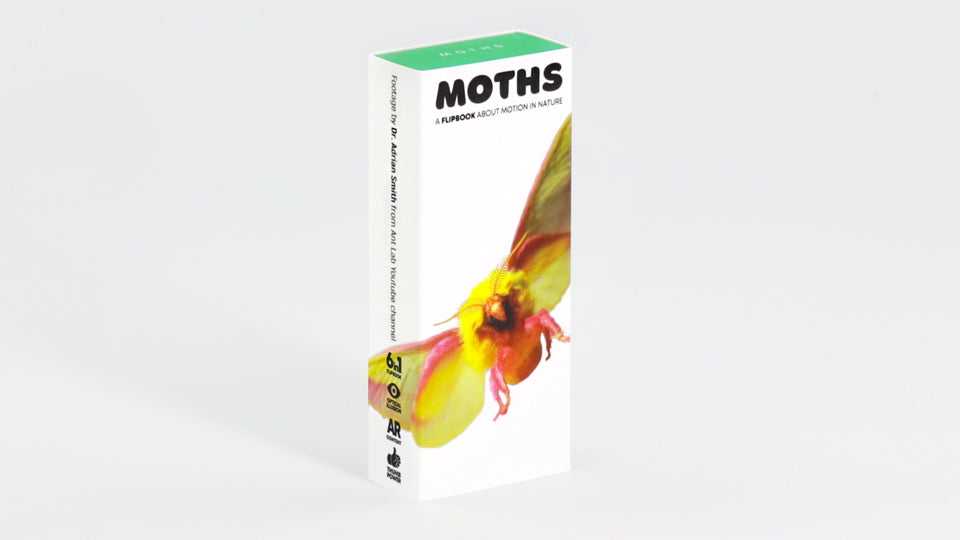 Moths Flipbook | Motion in Nature Collection | Flipboku - Flipboku