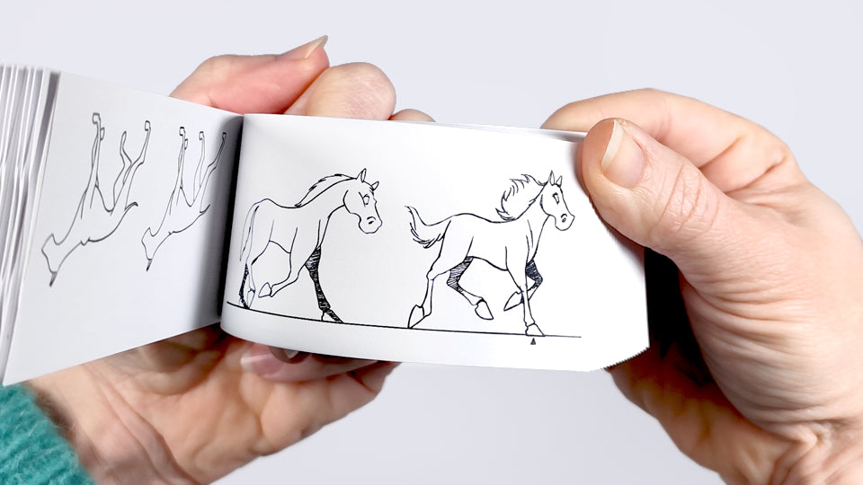 Human &amp; Animal Motion Flipbook