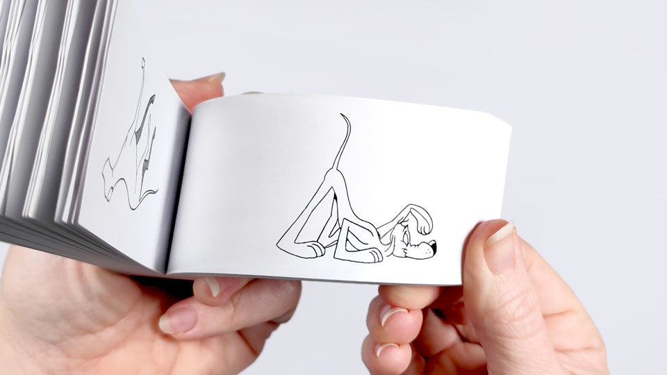 Human &amp; Animal Motion Flipbook
