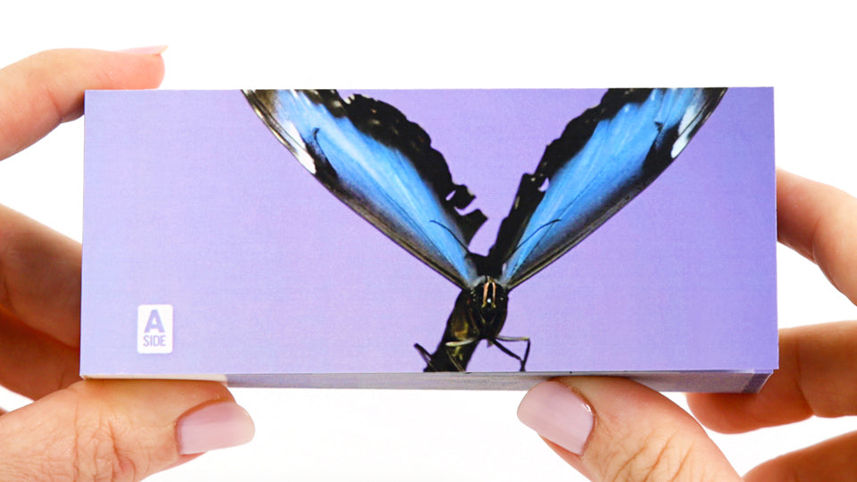 Butterflies Flipbook