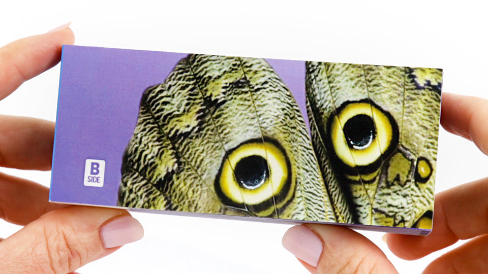 Butterflies Flipbook