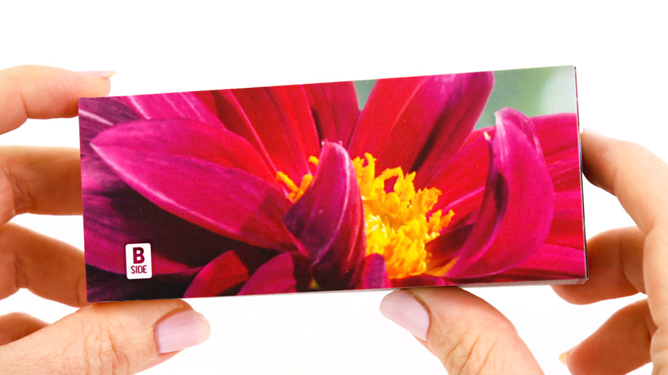 Flowers Flipbook