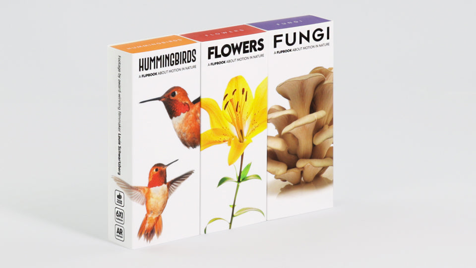 Motion in Nature - Moving Art Bundle