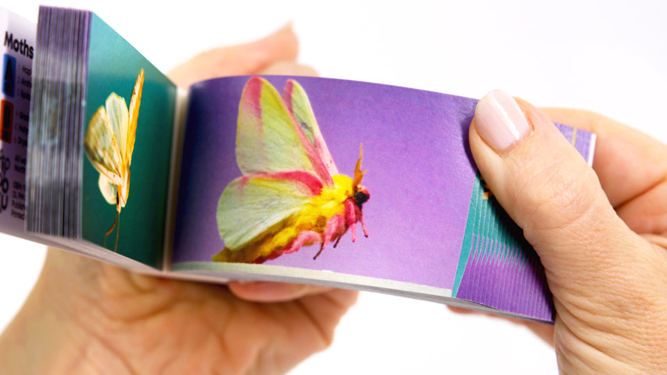 Motion in Nature Flipbook Collection