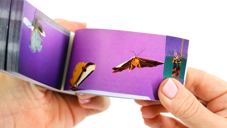 Motion in Nature Flipbook Collection