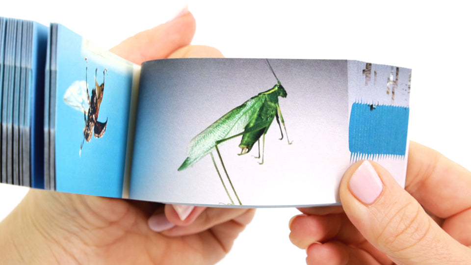 Bugs Flipbook