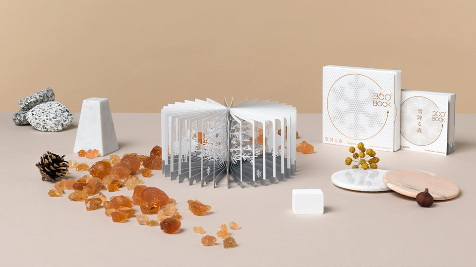 Snowy World 360° Book