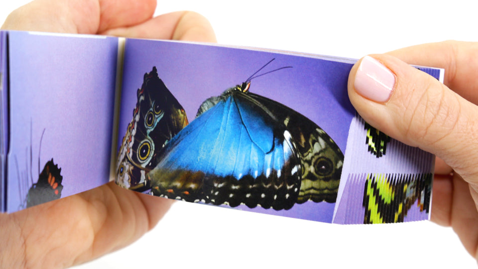 Motion in Nature Flipbook Collection