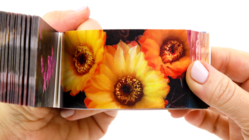 Flowers Flipbook