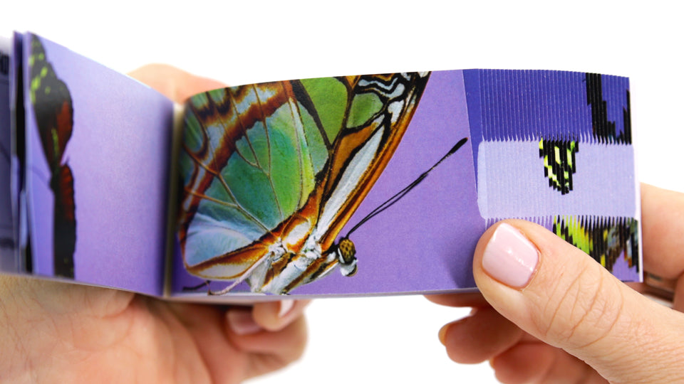 Butterflies Flipbook