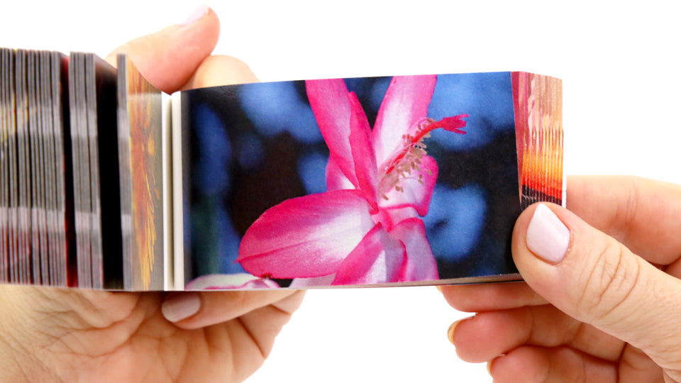 Flowers Flipbook