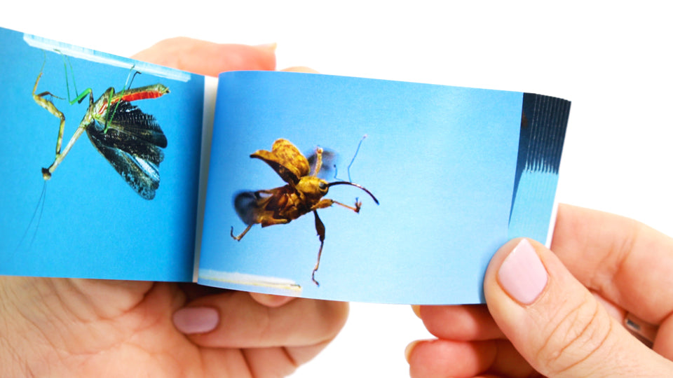 Bugs Flipbook