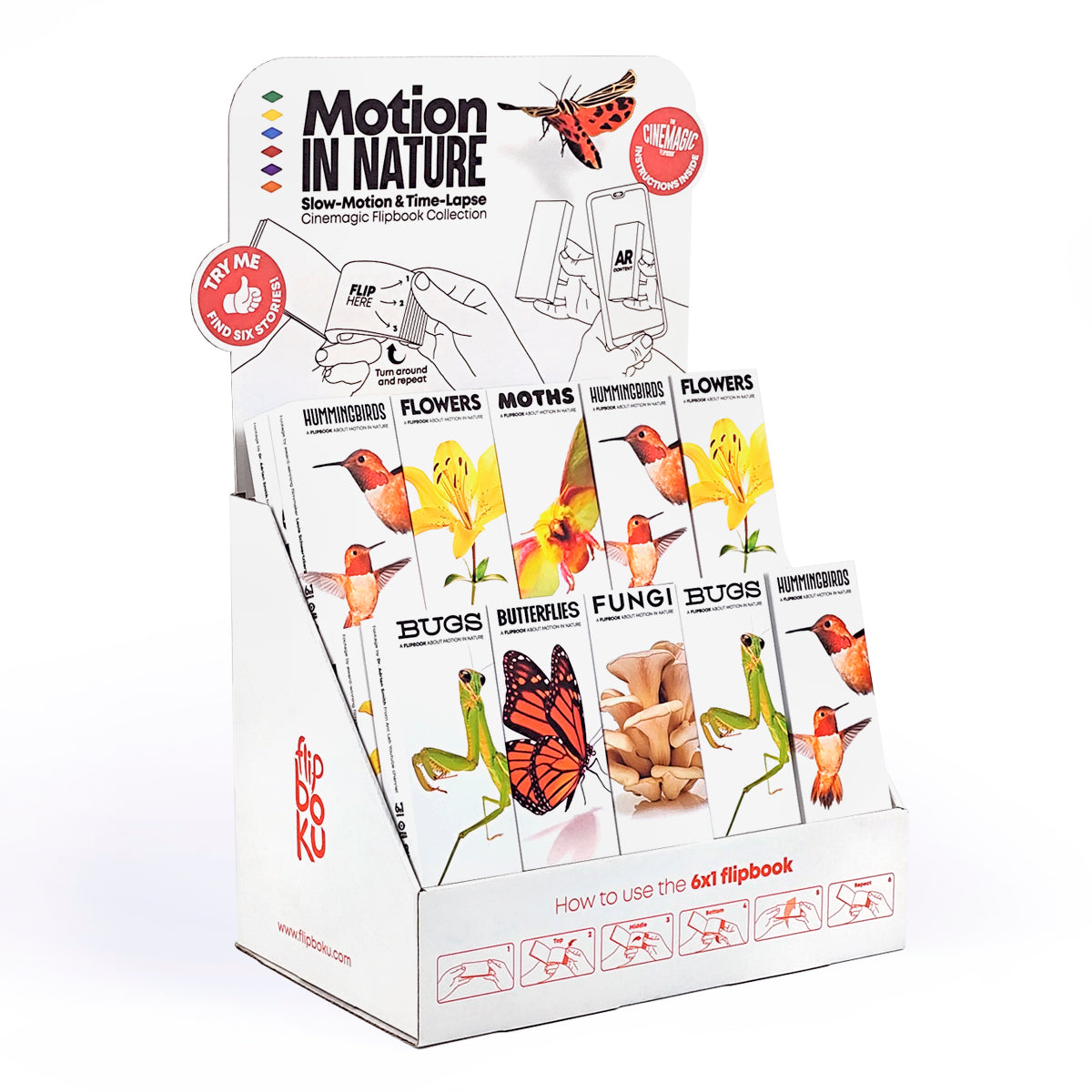 Motion in Nature Starter Kit (and Display)