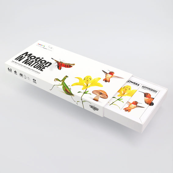 Motion in Nature Flipbook Collection