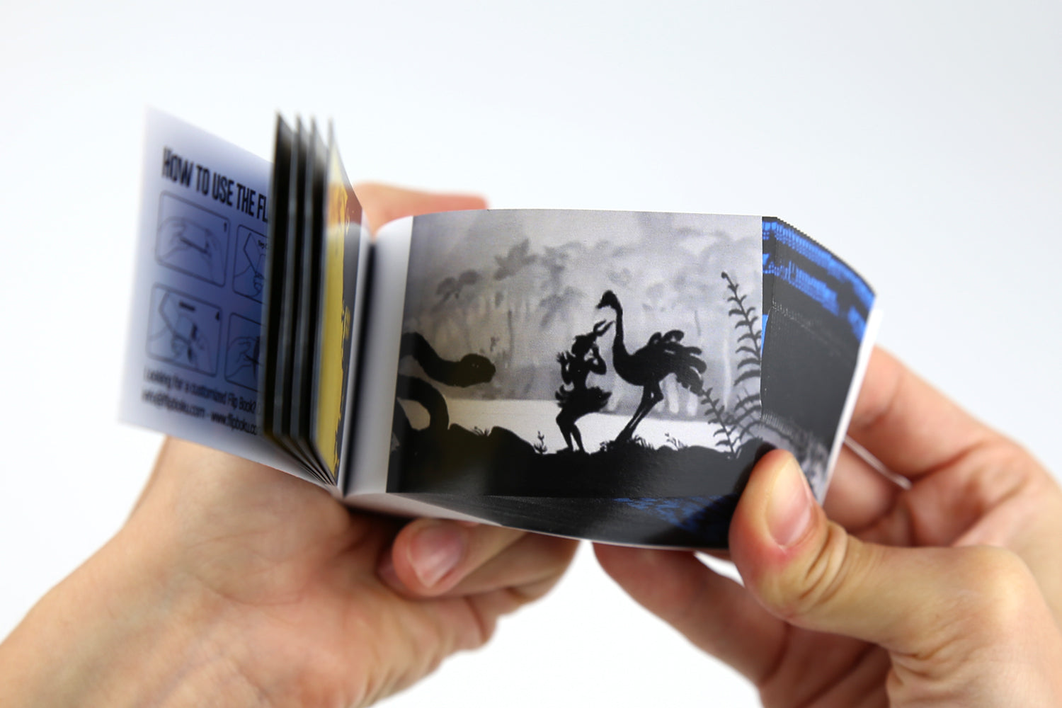 The Pioneers of Animation | Artists Flipbooks | Flipboku - Flipboku Shop