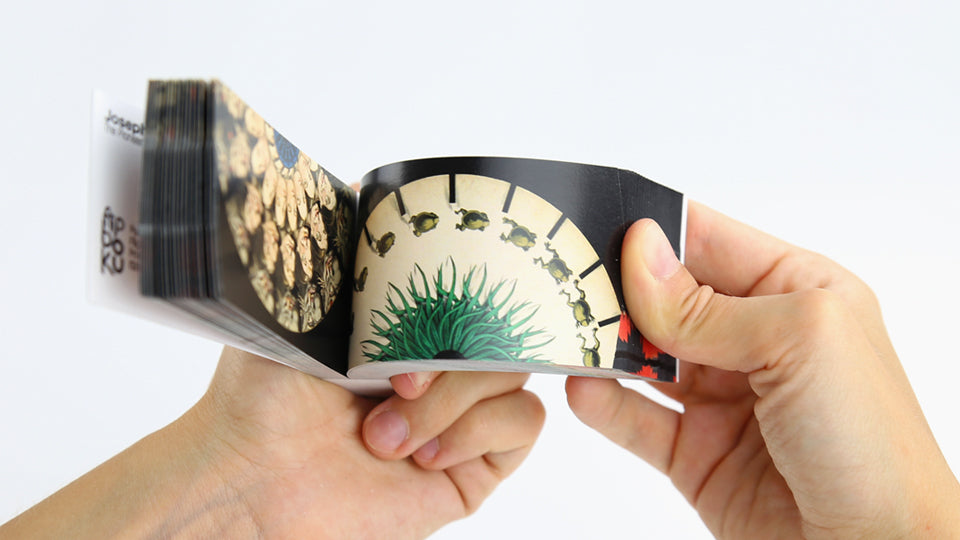 Joseph Plateau Flipbook